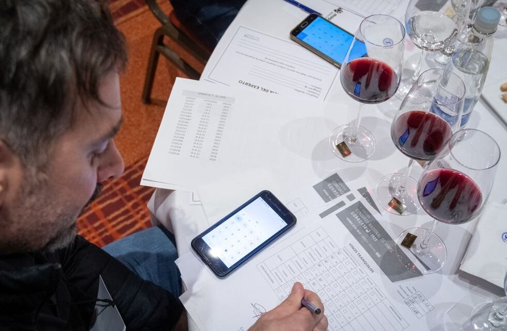 Últimos 8 días: inscribite en el certamen que premia la excelencia en vinos, ¿por qué es tan importante participar? Foto: Ignacio Blanco / Los Andes