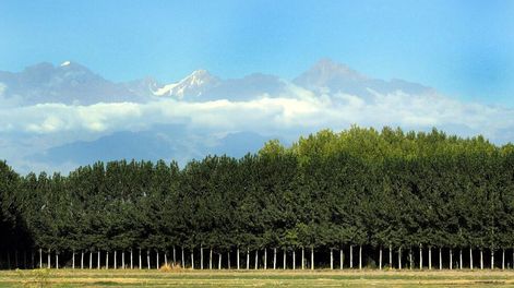 Pronóstico del tiempo para este miércoles: bueno y con ascenso de la temperatura en Mendoza.