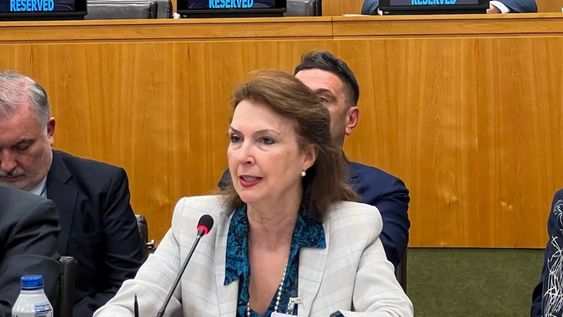 La ministra de Relaciones Exteriores, Diana Mondino viaja a Estados Unidos a una reunión de emergencia de la OEA por las elecciones en Venezuela. Foto NA: CANCILLERÍA