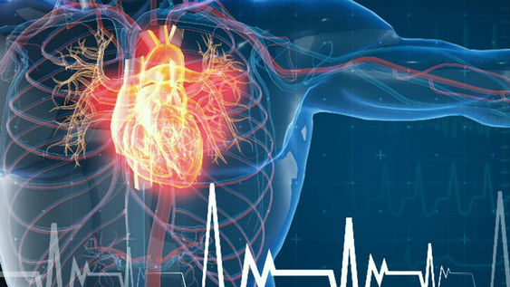 Hay ciertos alimentos que ayudan a bajar la presión arterial.