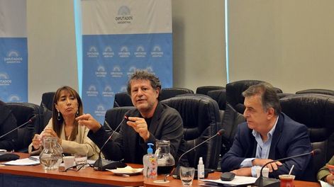 Los Andes | El bloque de diputados nacionales de la UCR analizó con especialistas el acuerdo con el FMI