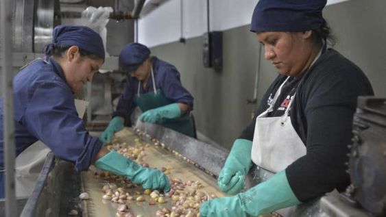 La Cooperativa La Terre cuenta con casi 100 trabajadores y fueron los protagonistas de una campaña solidaria que permitió entregar 50.000 raciones de alimentos a comedores y merenderos. Foto: Orlando Pelichotti.