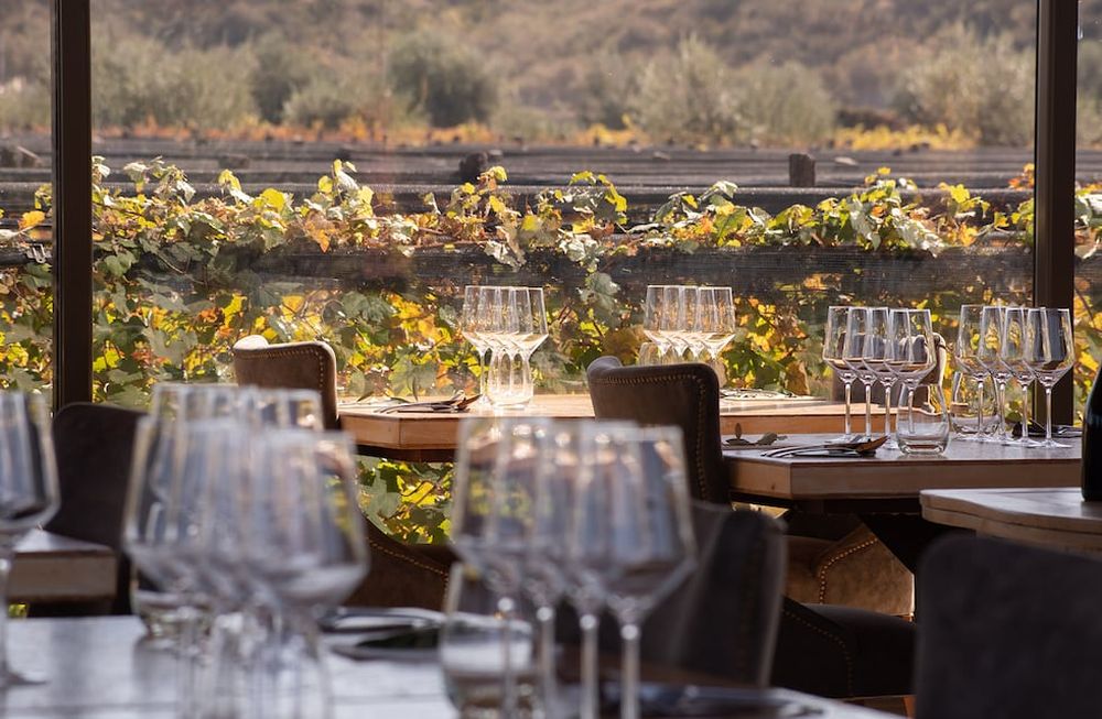 10 restaurantes imperdibles en Mendoza: una lista curada para foodies.