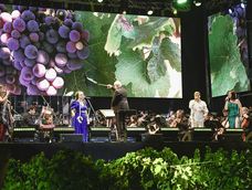 La Fiesta de la Cosecha y otras acciones de promoción del vino argentino, en riesgo por la eliminación del aporte obligatorio a la Coviar La Fiesta de la Cosecha y otras acciones de promoción del vino argentino, en riesgo por la eliminación del aporte obligatorio a la Coviar