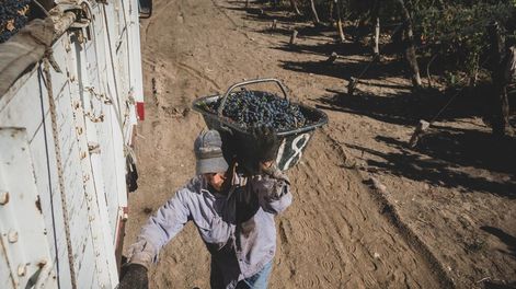 El iceberg de la economía mendocina - Por Dante Moreno