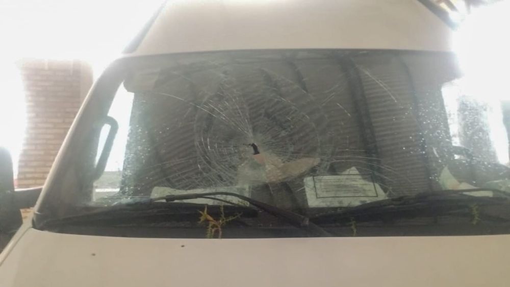 Una de las ramas cayó sobre el parabrisas de una traffic que estaba estacionada.  Adentro se encontraba una vecina embarazada con su hijo pequeño.