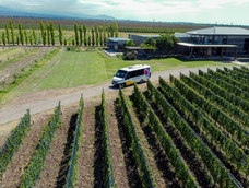 La Municipalidad vuelve a replicar el formato diagramado de manera conjunta con Wine Pass y El Oro Negro | Municipalidad de Luján&nbsp;