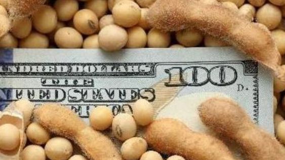 Nuevo plazo fijo: sigue al dólar para no perder y es solo para el campo