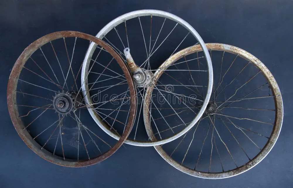 Ruedas de bicicleta pueden reciclarse en estructuras decorativas y soportes para plantas trepadoras en el hogar.