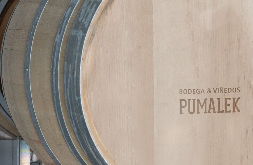 Los espumosos de Pumalek, en la feria de vinos de Guarda14