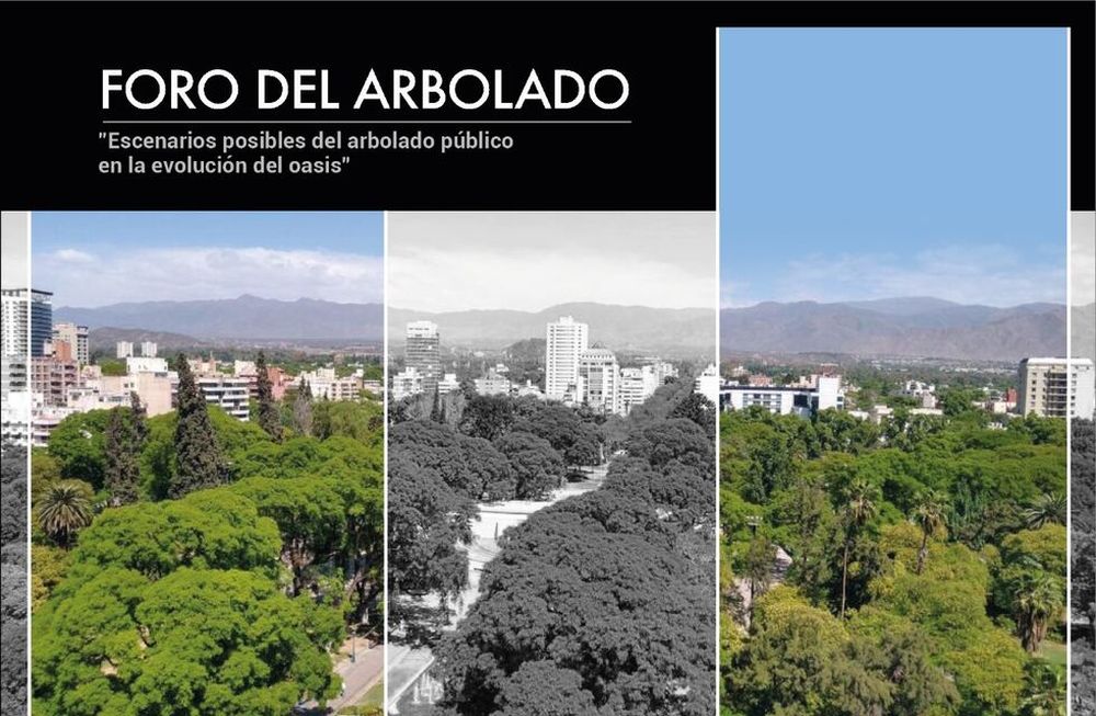 El 16 y 17 de setiembre el Colegio de Arquitectos de Mendoza debatirá el tema del arbolado público