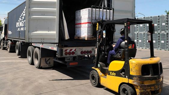 Referentes de diversos sectores de la economía mendocina consideran que 2025 traerá un repunte de las exportaciones. Foto: Los Andes