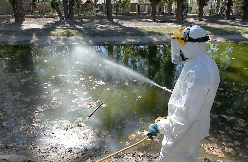 Los casos de dengue crecieron 70% en 6 días en Mendoza y muchos tienen el virus pero no lo sabenPersonal de Zoonosis de Guaymallén desinfectando para evitar la propagación del mosquito Dengue  en el lago de Bandera de los Andes y UrquizaEl dengue, es una enfermedad viral transmitida por la picadura del mosquito del género Aedes, principalmente por Aedes aegypti.Foto : Orlando Pelichotti