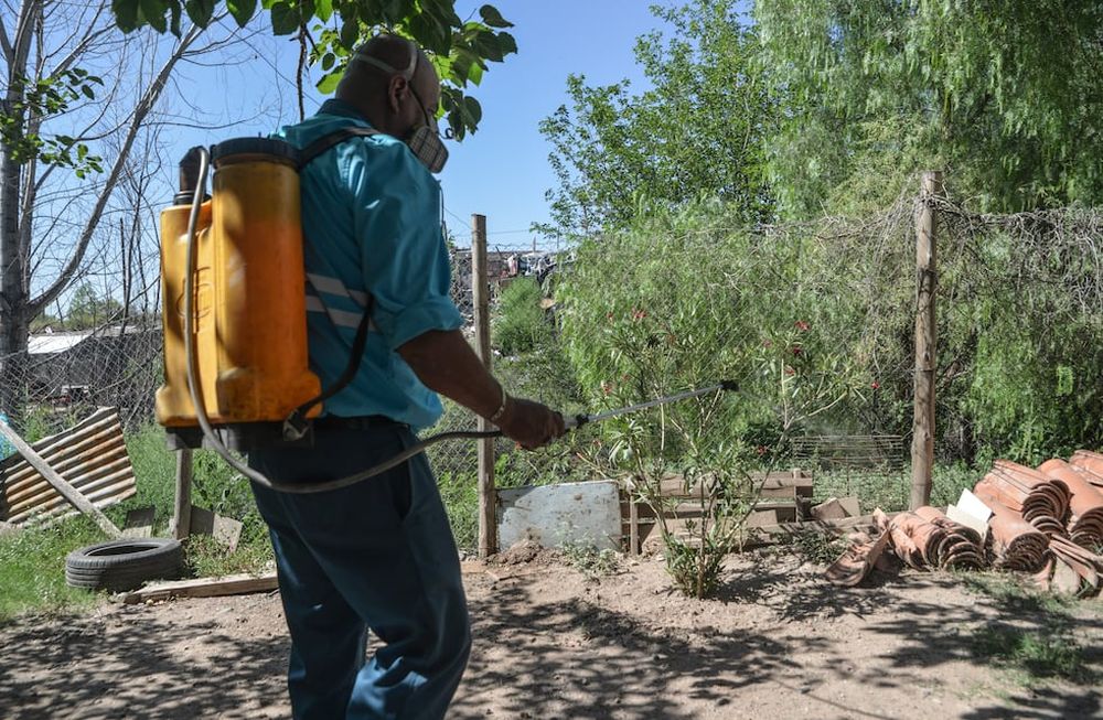 Nuevo cronograma de desinfección de arbolado. Foto: Prensa Ciudad de Mendoza