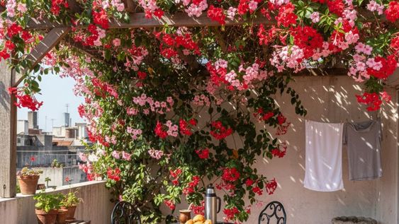 Con cuidados mínimos y una instalación sencilla, se posiciona como una de las plantas más prácticas para renovar cualquier rincón exterior.