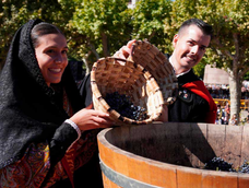 Descubrí las ciudades del mundo donde también se celebra la Vendimia además de Mendoza.
