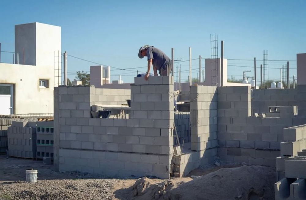 Cátedra universitaria, hábitat y vivienda