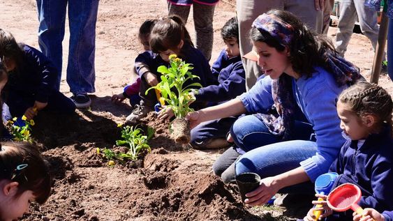 Huertas comunitarias: abre la convocatoria 2023