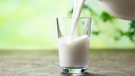 Imagen ilustrativa leche. Foto: Web