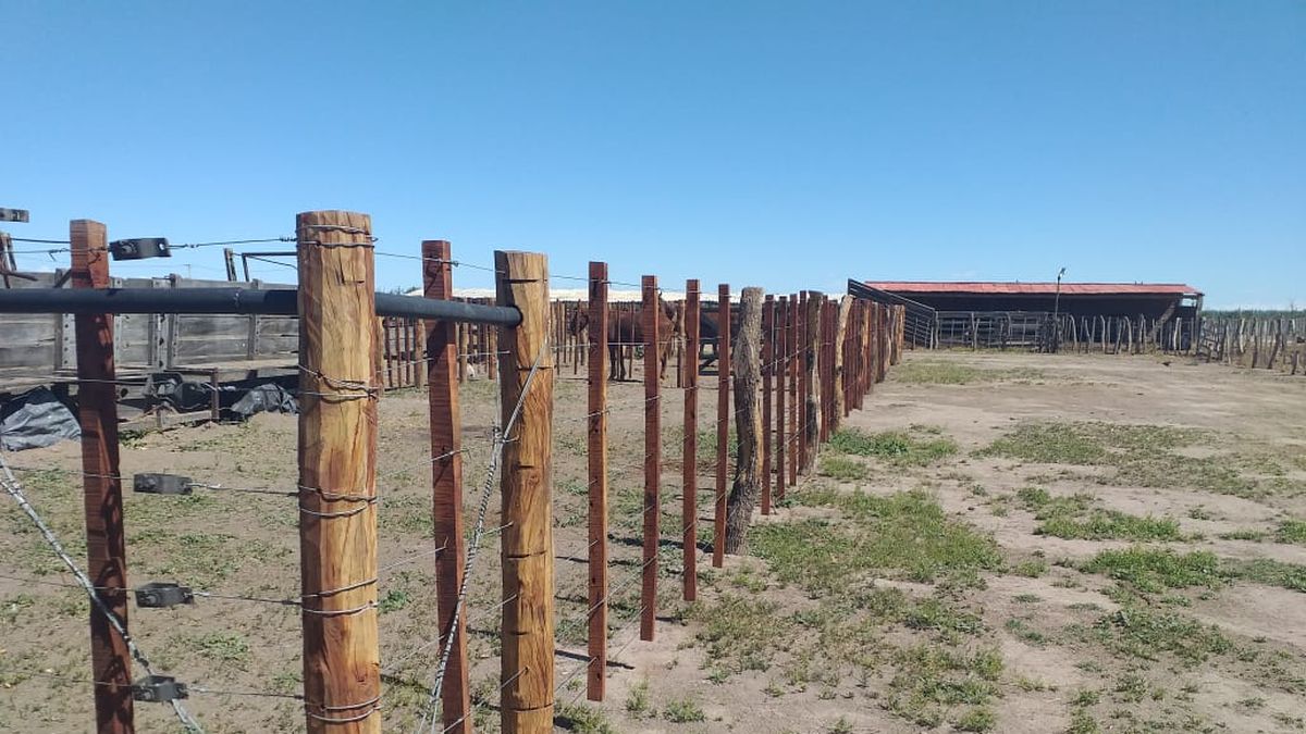 Pymes: duro reclamo de las cámaras del Sur por la complicada situación económica