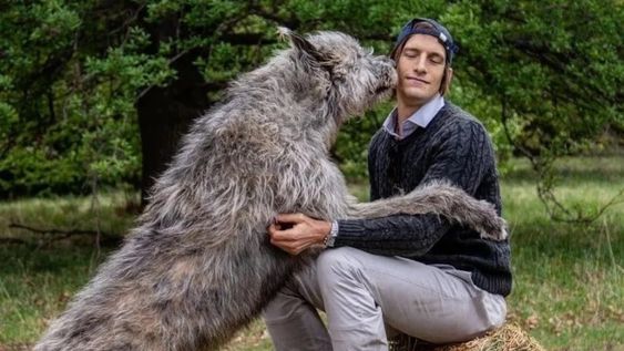 Iván de Pineda y su perro gigante revolucionaron las redes