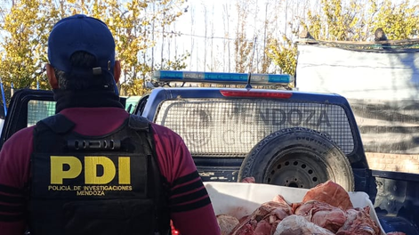 Los Andes | Allanamientos en San Martín: secuestraron más de 150 kilos de carne y elementos vinculados a un caso de abigeato