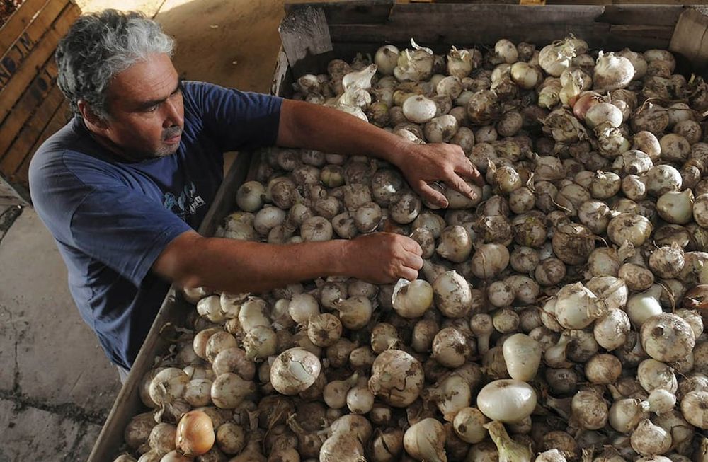 La situación con el mercado de Brasil, está complicando seriamente las expectativas en el mercado local. Muchos aseguran que hay que aguardar y no apresurarse. / Foto: José Gutiérrez