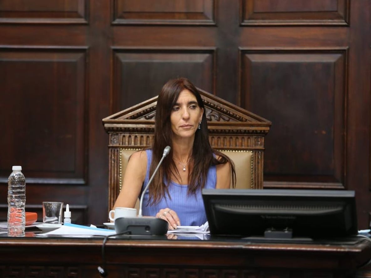 Natacha Eisenchlas, presidenta provisional del Senado