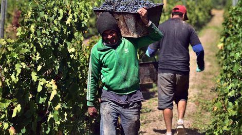 ¿Qué significa haber aggiornado el Acuerdo Mendoza San Juan? - Por Alfredo Aciar