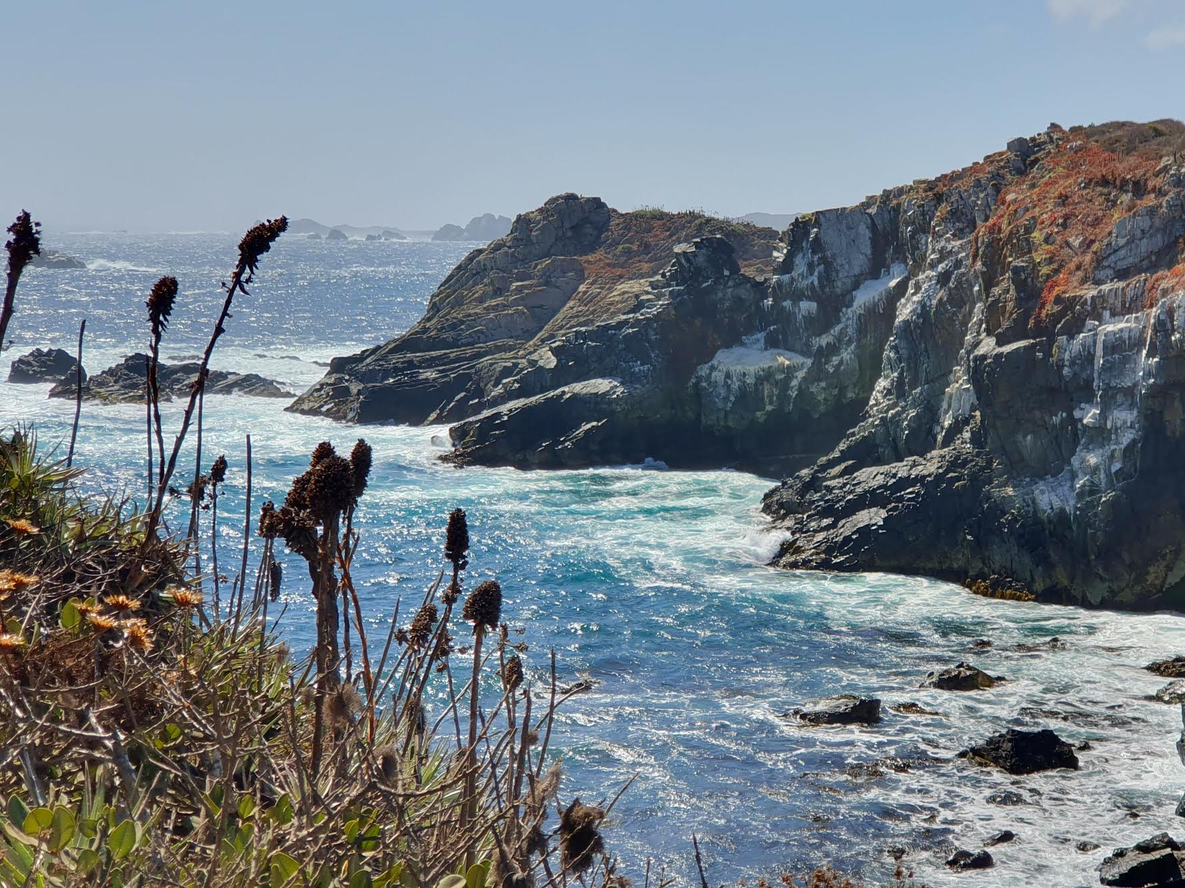 Un paraíso poco conocido: el destino turístico en Viña del Mar que promete ser furor este 2025