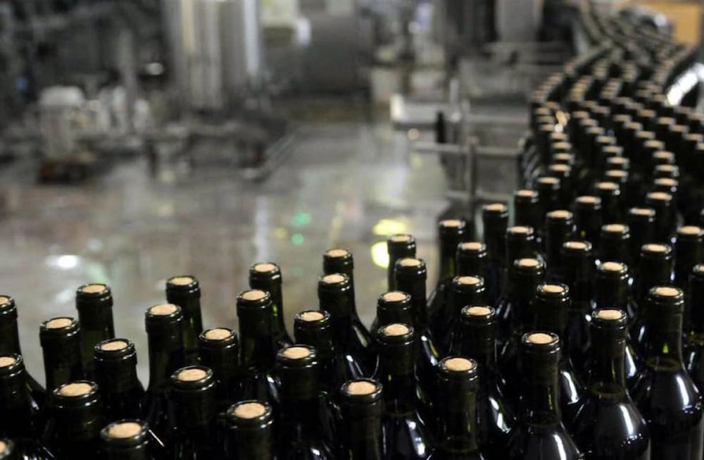 Banco de Vinos: ya tiene director y ahora se viene la pelea por el Consejo  