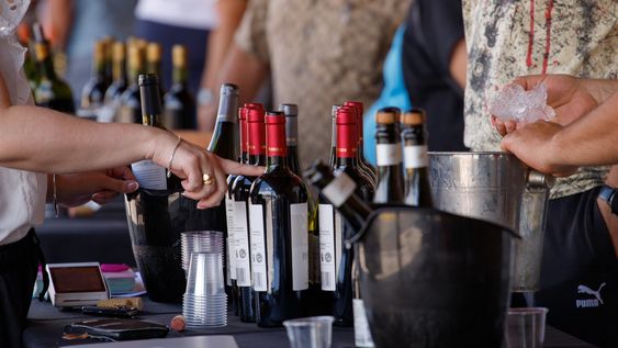 maipu prepara un fin de semana con el malbec como protagonista