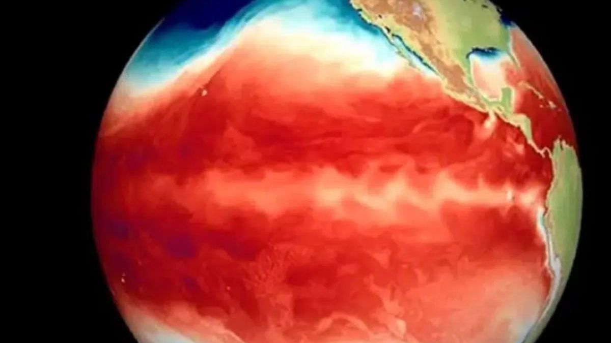 La ONU alertó sobre un 80% de probabilidad de que se registre El Niño: cuándo y cuál sería su impacto
