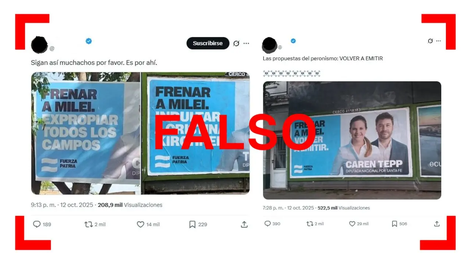 Son falsas estas fotos de carteles de la candidata santafesina de Fuerza Patria