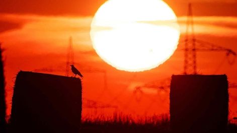 GLOBAL. Las investigaciones concluyeron que el 98 por ciento del planeta experimenta el calentamiento global. (AP)