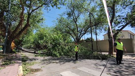 Zonda: novedades, cortes de tránsito y suspensiones