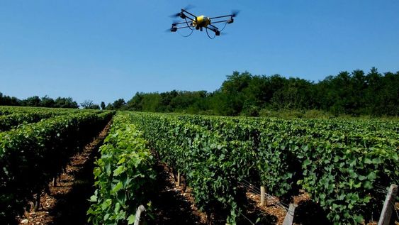 Entre otras opciones, se podrán presentar proyectos vinculados con la inteligencia artificial, agrotecnología y energías renovables.