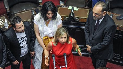 jura de Diputados nacionales Martin Tetaz, Fernando Iglesias, Myriam Bregman y Sabrina Ajmechet. Foto Federico Lopez Claro