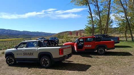 La nueva ByD Shark ya está en Mendoza.