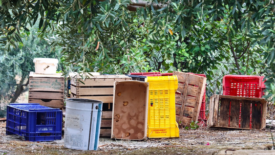 los cajones de madera de frutas no las tires, tenes un tesoro: 5 formas economicas de transformarlas para el hogar