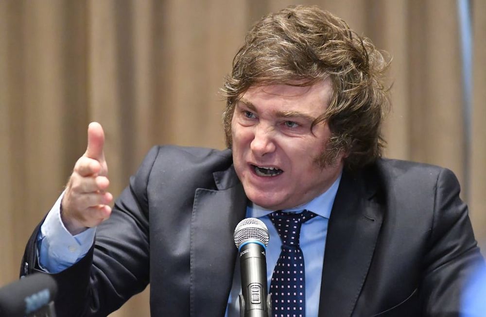 Milei tildó de “mogólico” a un economista y lo repudió la Asociación Síndrome de Down (Foto: La Voz)