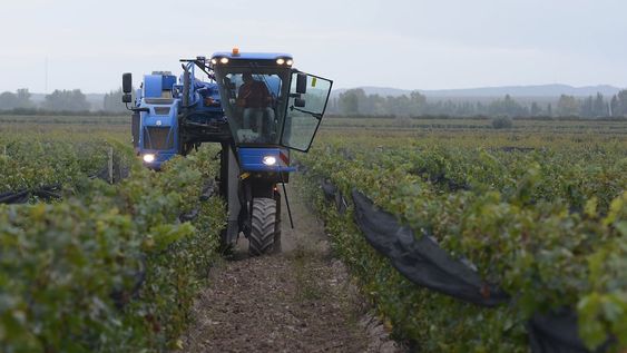 costos agricolas: los numeros que muestran que argentina es mas caras que sus competidores