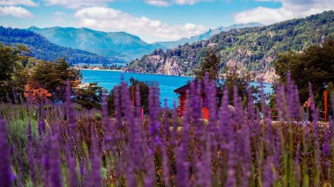 Los Andes | Vuelos low cost a Bariloche, fin de semana largo de noviembre por $30.000.