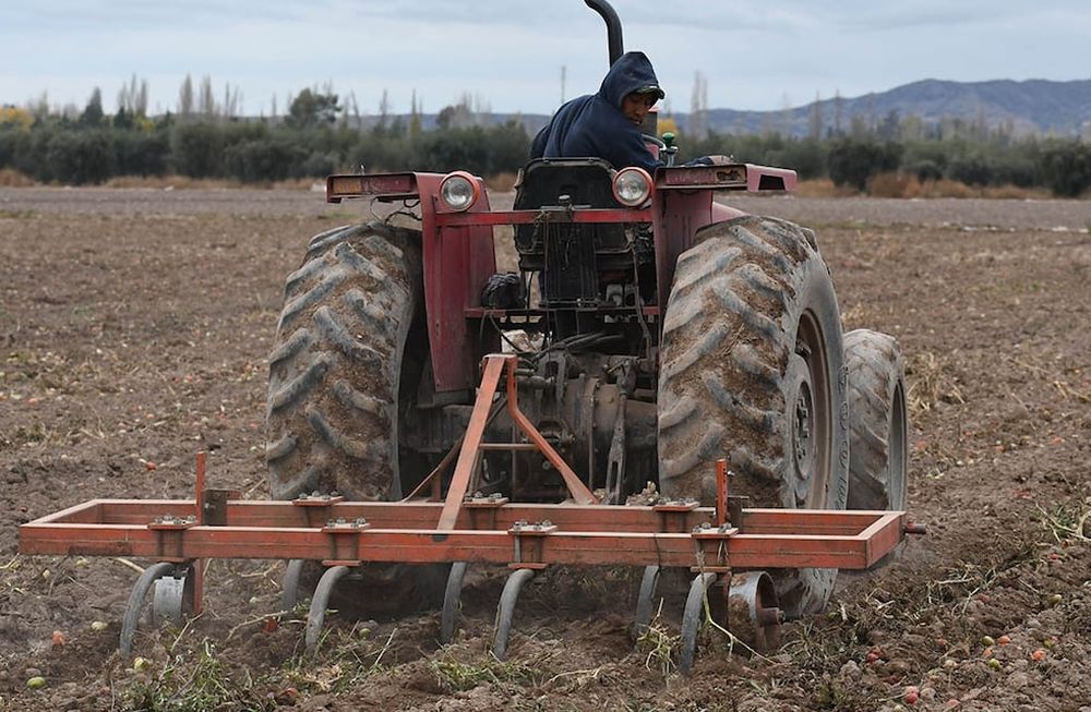 Las mínimas estarán apenas por encima del cero y las máximas no superarán los 15°. Foto: Orlando Pelichotti / Los Andes