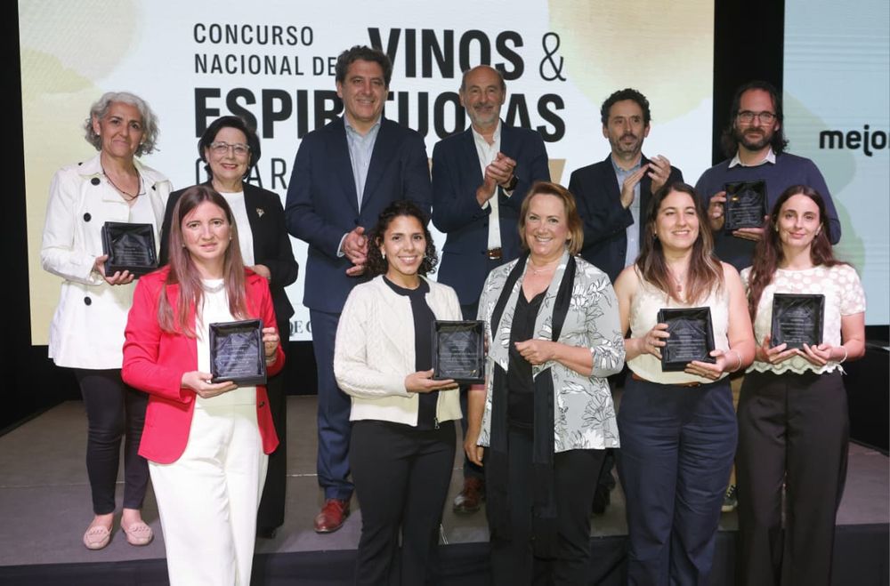 Ministro de Producción de San Juan, Gustavo FernándeZ; Ministro de Producción de Mendoza, Rodolfo Vargas Arizu y el Gerente General de diario Los Andes, Pablo Dellazoppa participaron de la entrega de premios. 