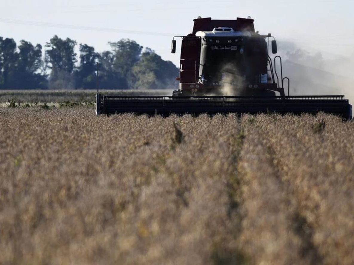 Arca cerró la registración del cupo de US$7.000 millones previsto por el decreto 682/2025.