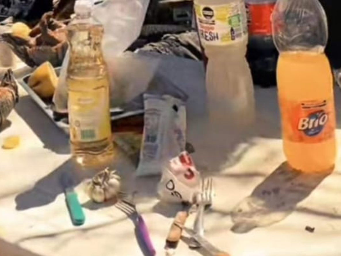 Inesperada polémica por el video de un candidato con 4 animales protegidos muertos