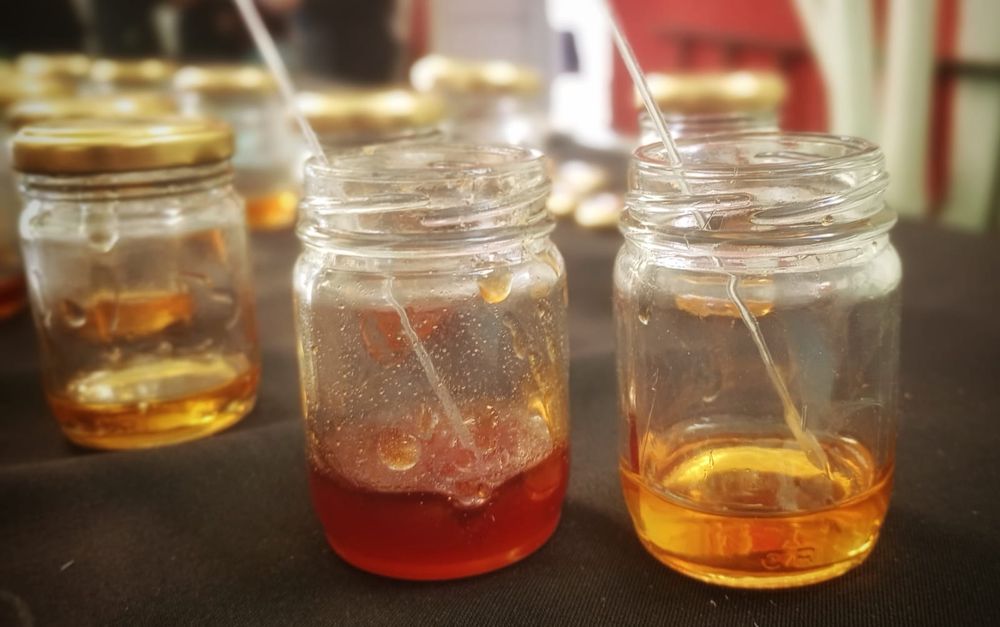 Diversidad en el frasco: Las mieles son diferentes según la flor que liban las abejas y el polen que queda en suspensión. “La miel oscura tiene un mayor contenido de hierro y minerales, mientras que la clara suele ser mucho más suave en general