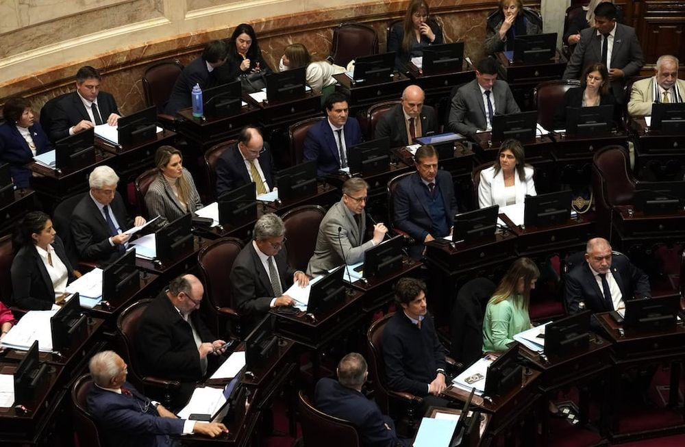 Sesión en la Cámara de Senadores.  (Clarín)