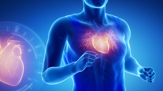 cual es el pequeno fruto que ayuda a bajar el colesterol y cuidar el corazon